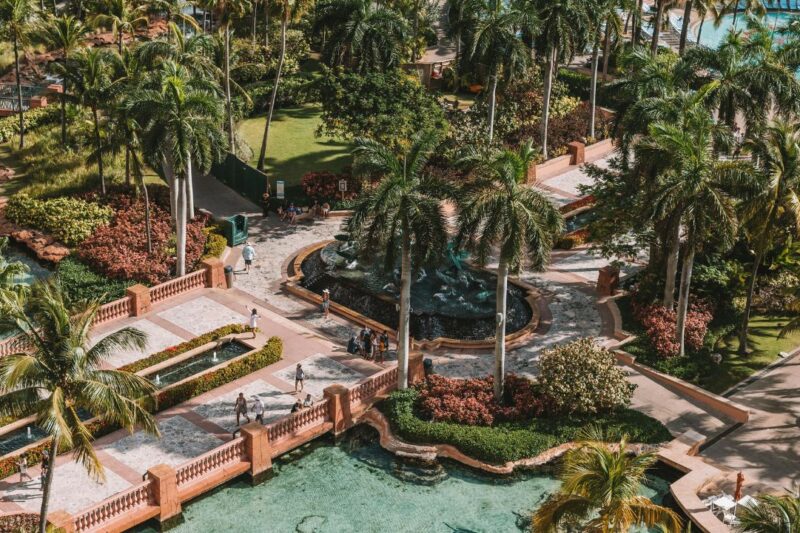 Discover the Magic of a Vulcano Hotel Garden