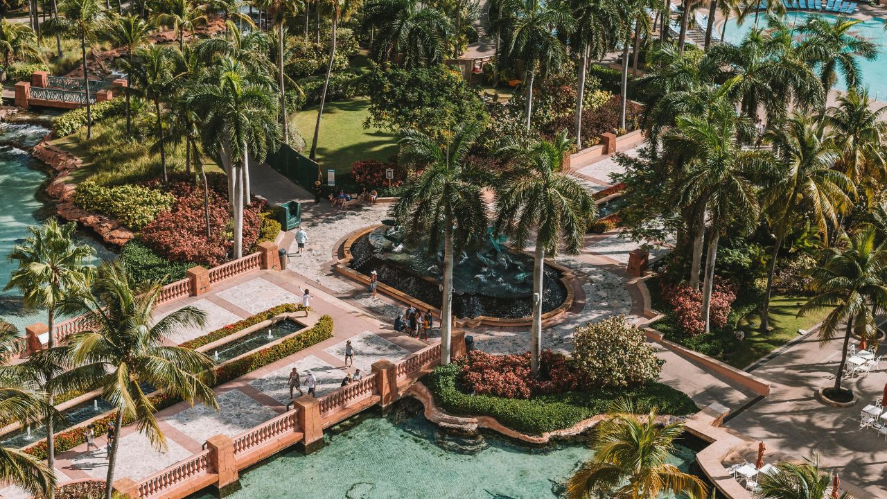 Discover the Magic of a Vulcano Hotel Garden