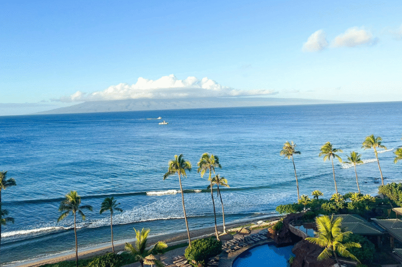 Paki Maui: Guide to the Vibrant Hawaiian Shirt Style
