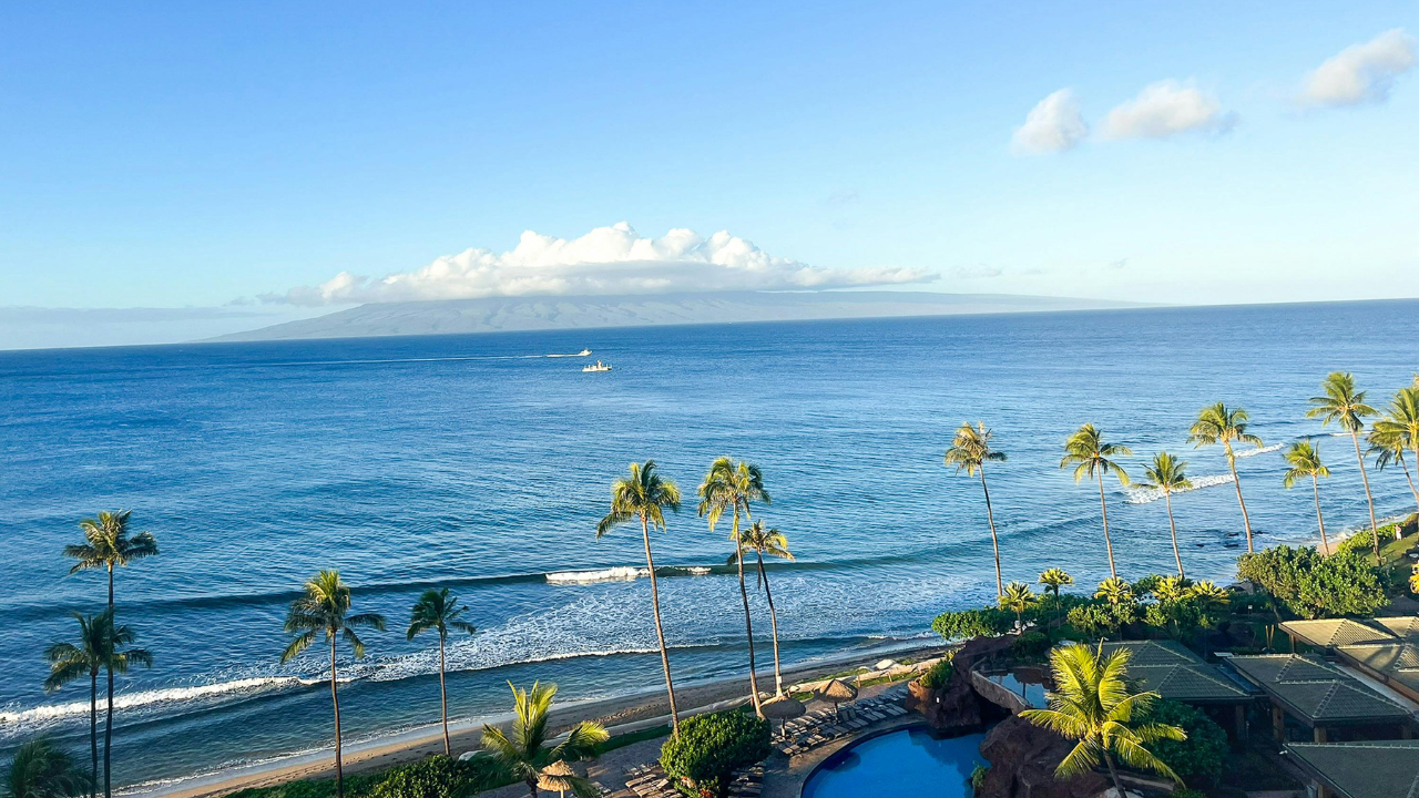 Paki Maui: Guide to the Vibrant Hawaiian Shirt Style
