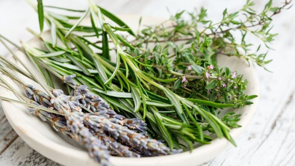 Planting Rosemary, Sage & Thyme Together