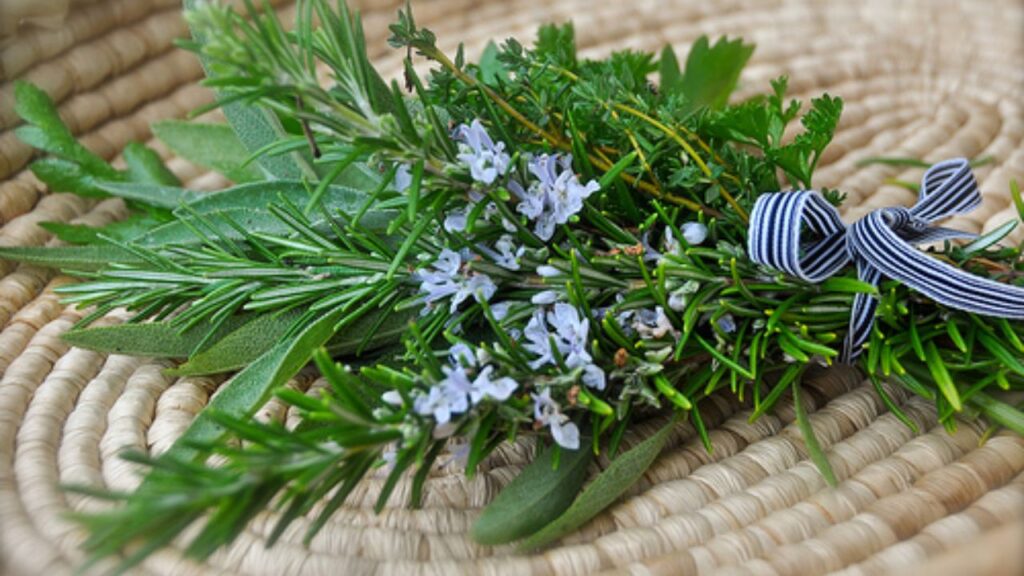 Thyme Thrives with Simple Sunshine and Good Drainage