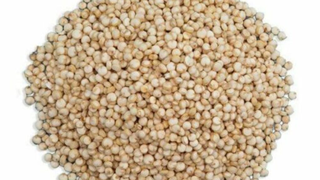 Why Sprouted Quinoa is Worth the Hype.