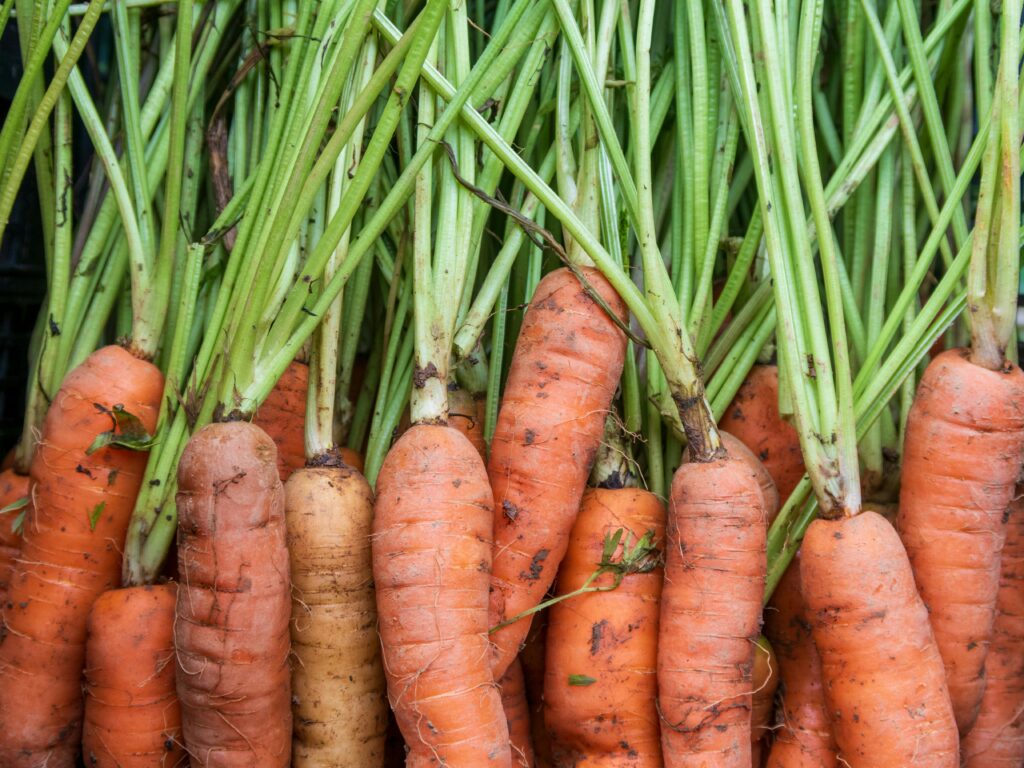 The Simple Truth About the Amazing Carrot