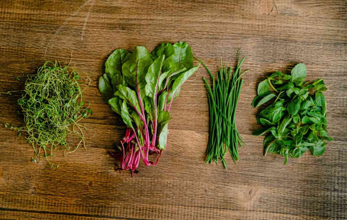 Rosemary, Sage & Thyme: Your Simple Guide to Flavor