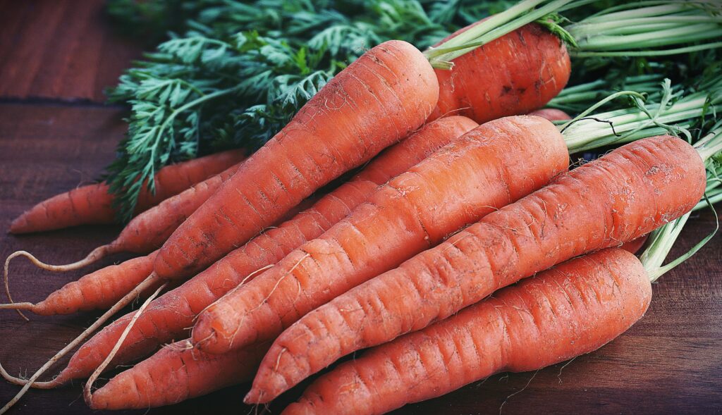What’s Actually In a Carrot? Let’s Break it Down.