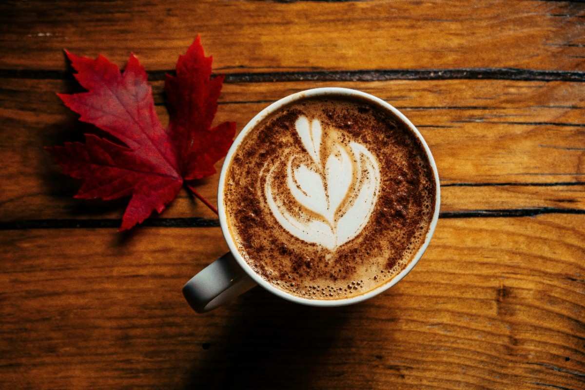 Falling in Love with Freshly Brewed Coffee